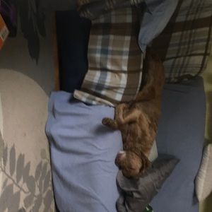 Meet your Posher, Debra